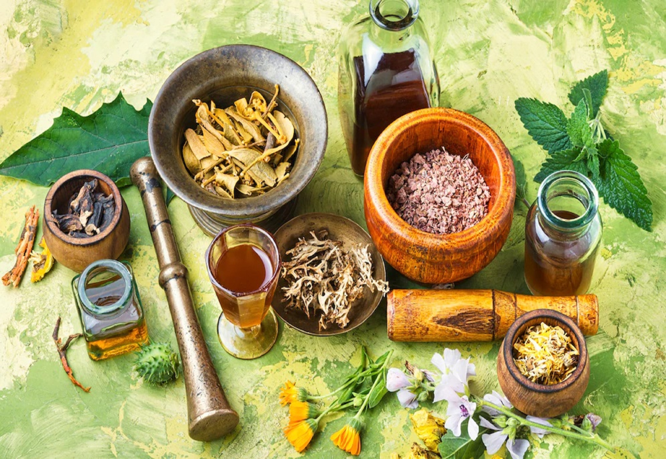 Ayurvedic Herbals