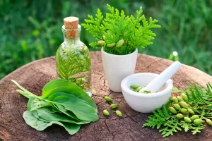 Read more about the article WE ARE LEADER IN AYURVEDIC PRODUCTS & MARKET!