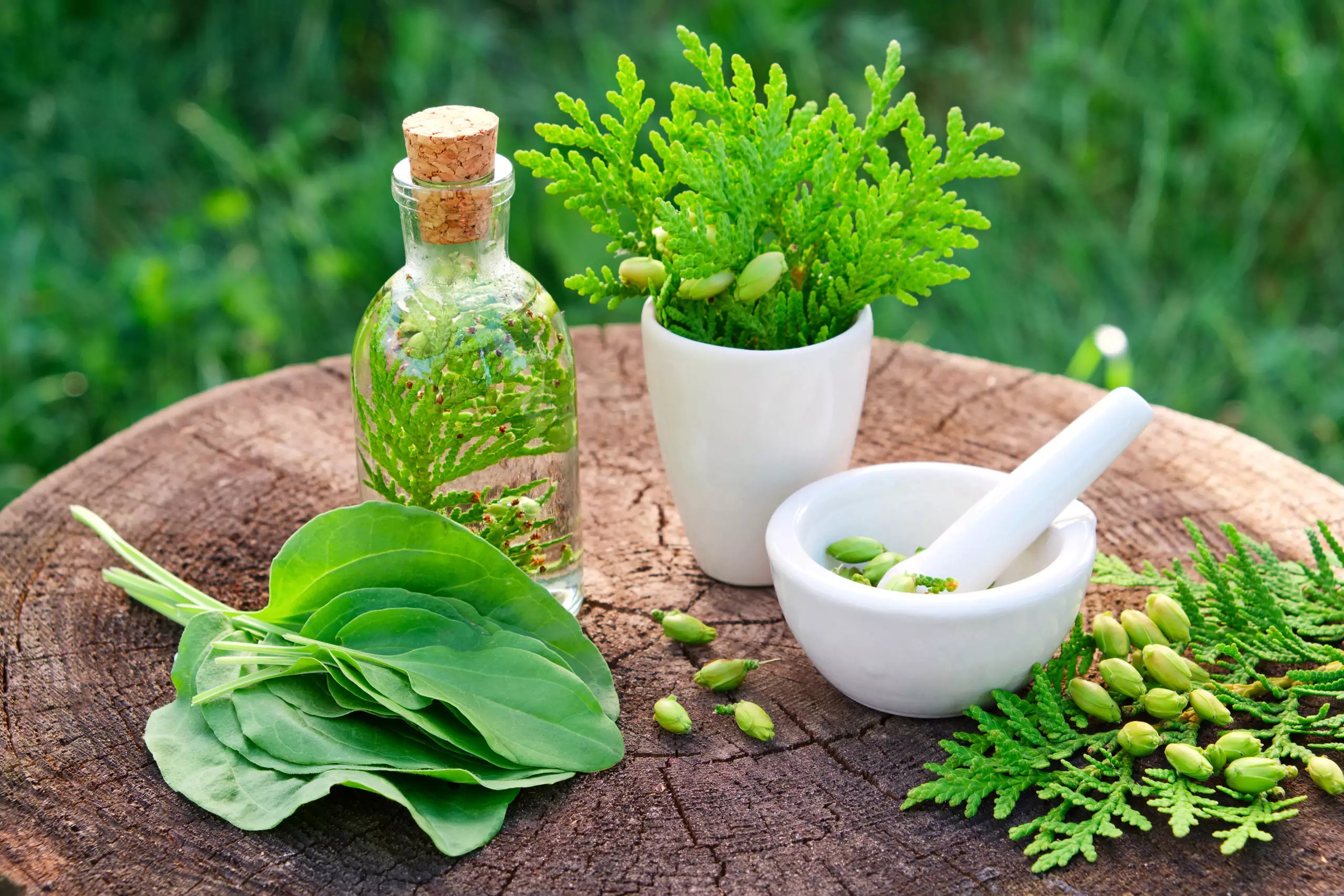 WE ARE LEADER IN AYURVEDIC PRODUCTS & MARKET!